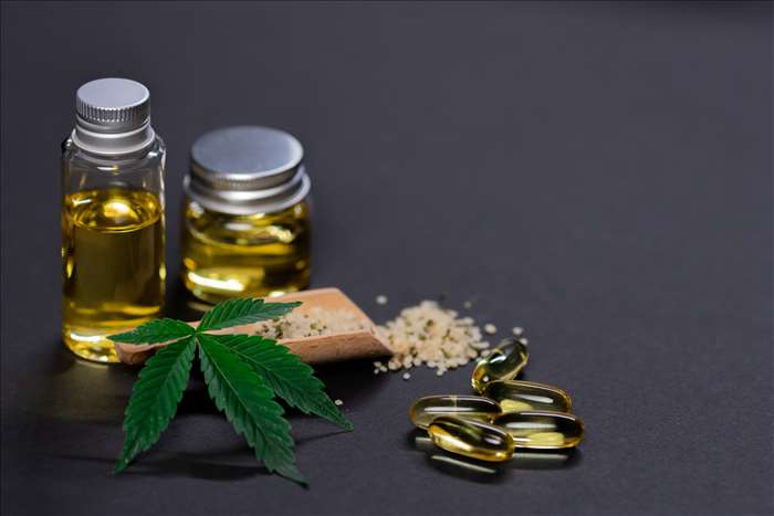 Tout savoir sur le CBD en gastronomie