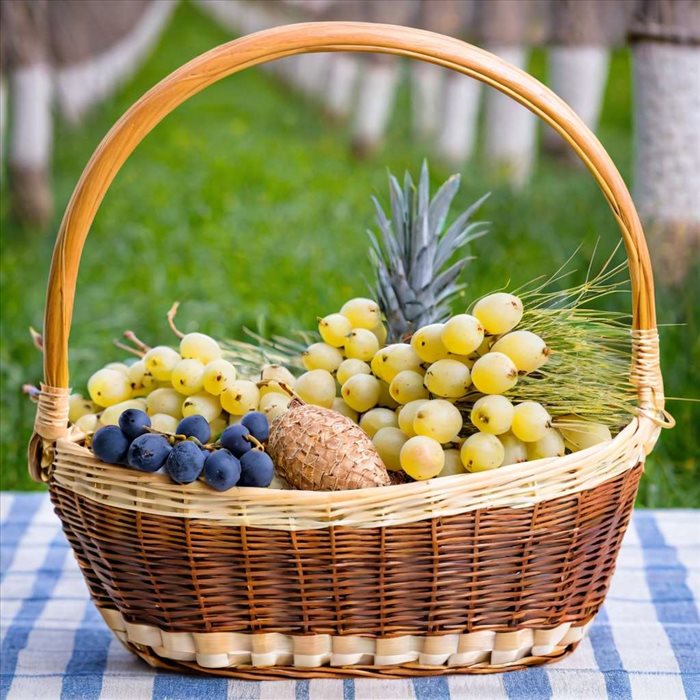 Conservation des Châtaignes : Astuces et Méthodes Efficaces