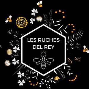 Laurent, un apiculteur à Brest