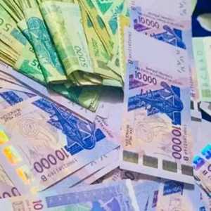 COMMENT AVOIR UN VRAI PORTEFEUILLE MAGIQUE EN EURO ET AU PARIS?+229 51 62 90 27, un maraîcher à Le Bourget