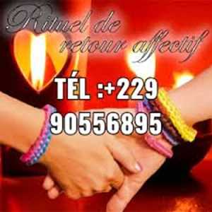 Retour affectif rapide, un chocolatier à Pointe-à-Pitre