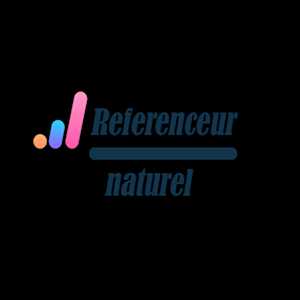 Consultant seo à Sarcelles